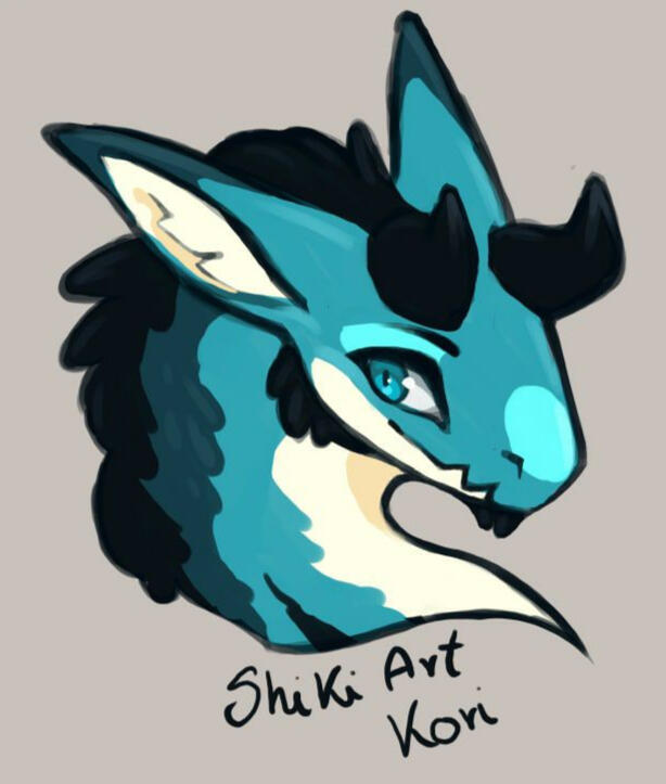 By Shikikey