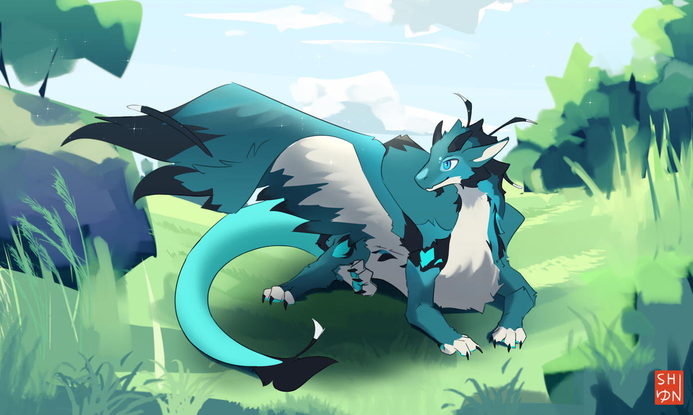 By Shiyun